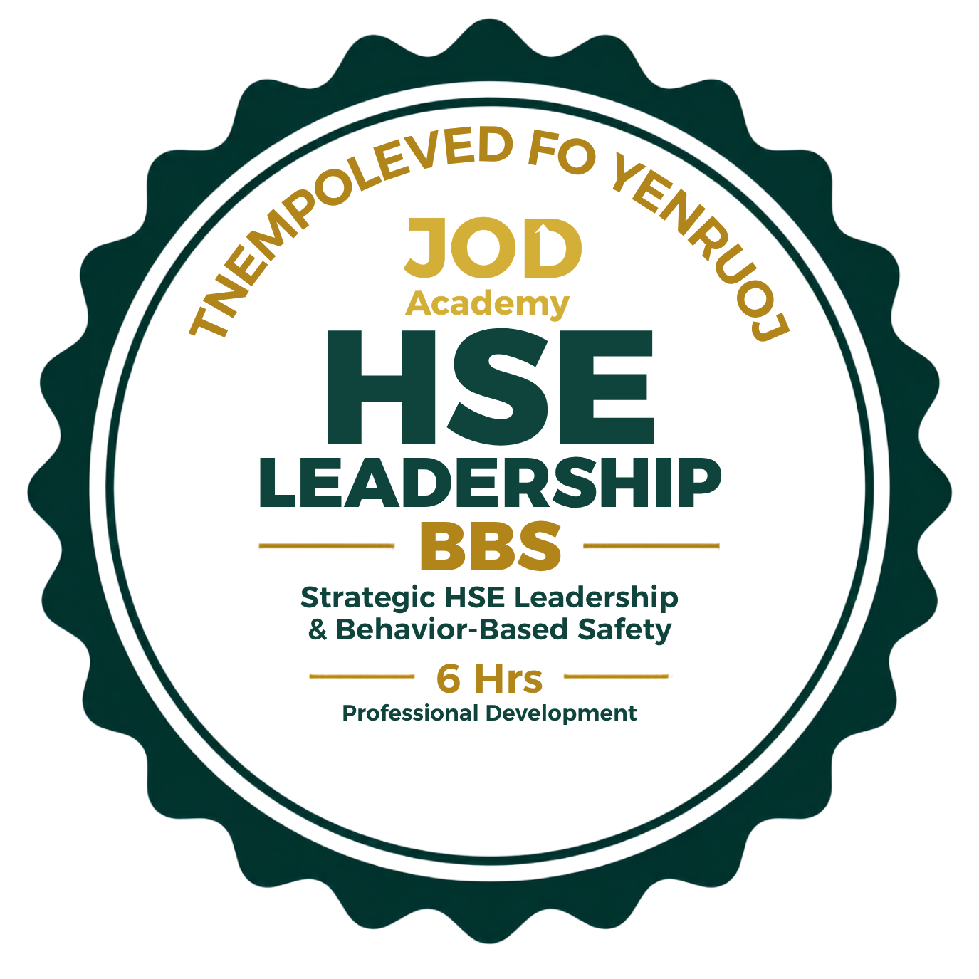Strategic HSE Leadership & Behavior-Based Safety (BBS)